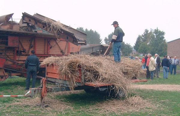 Dorsen van graan met een dorsmolen