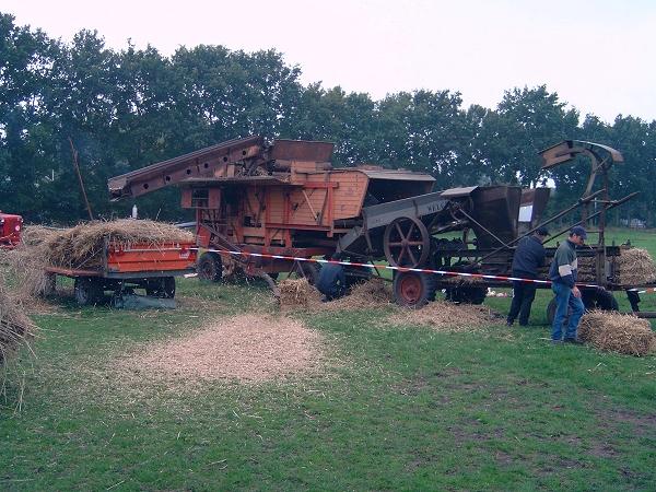 Dorsen van graan met een dorsmolen