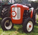 massey ferguson mf 35 smalspoor vineyard