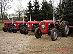 massey ferguson FE 35