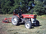 Gras / Hooi schudden met een Massey Ferguson 135