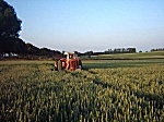 Spuiten met Massey Ferguson