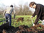 Mest op het land brengen